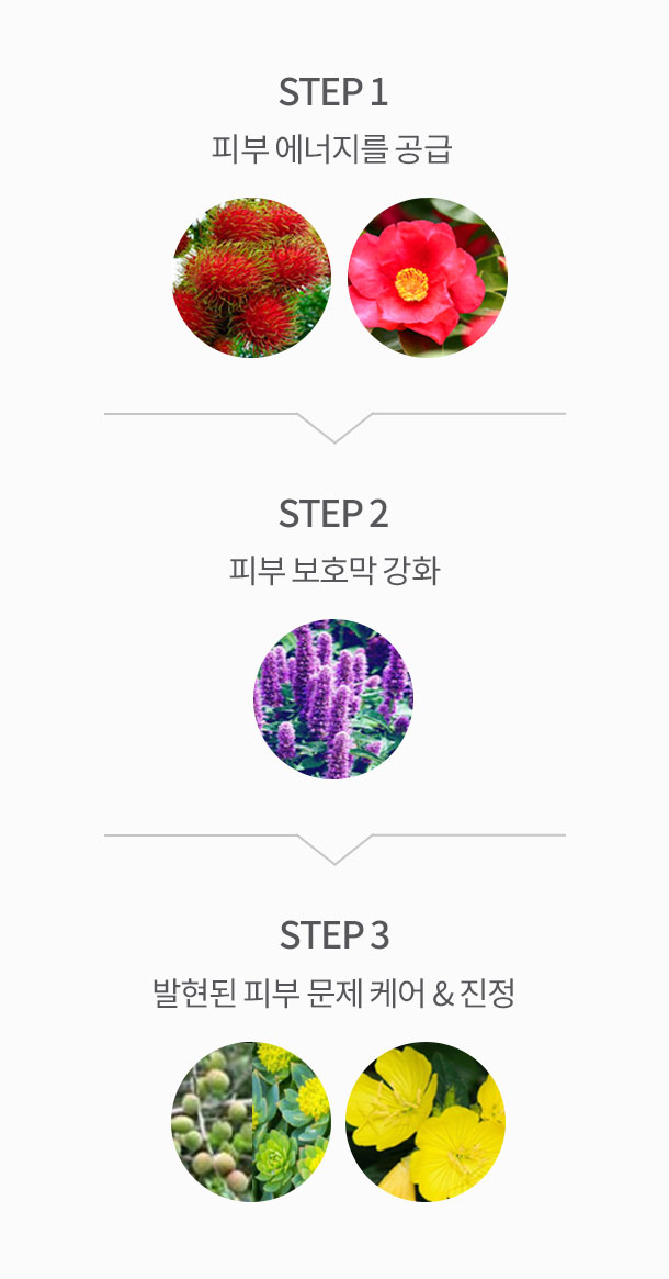 Step 1 피부 에너지를 공급, Step 2 피부 보호막 강화, Step 3 발현된 피부 문제 케어 & 진정