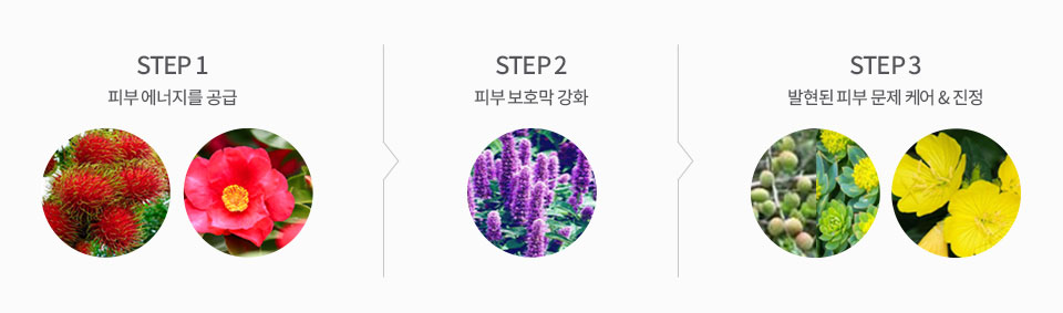 Step 1 피부 에너지를 공급, Step 2 피부 보호막 강화, Step 3 발현된 피부 문제 케어 & 진정