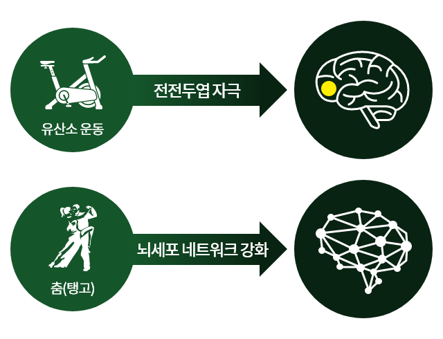 유산소 운동->전전두엽자극 / 춤(탱고)->뇌세포 네트워크 강화