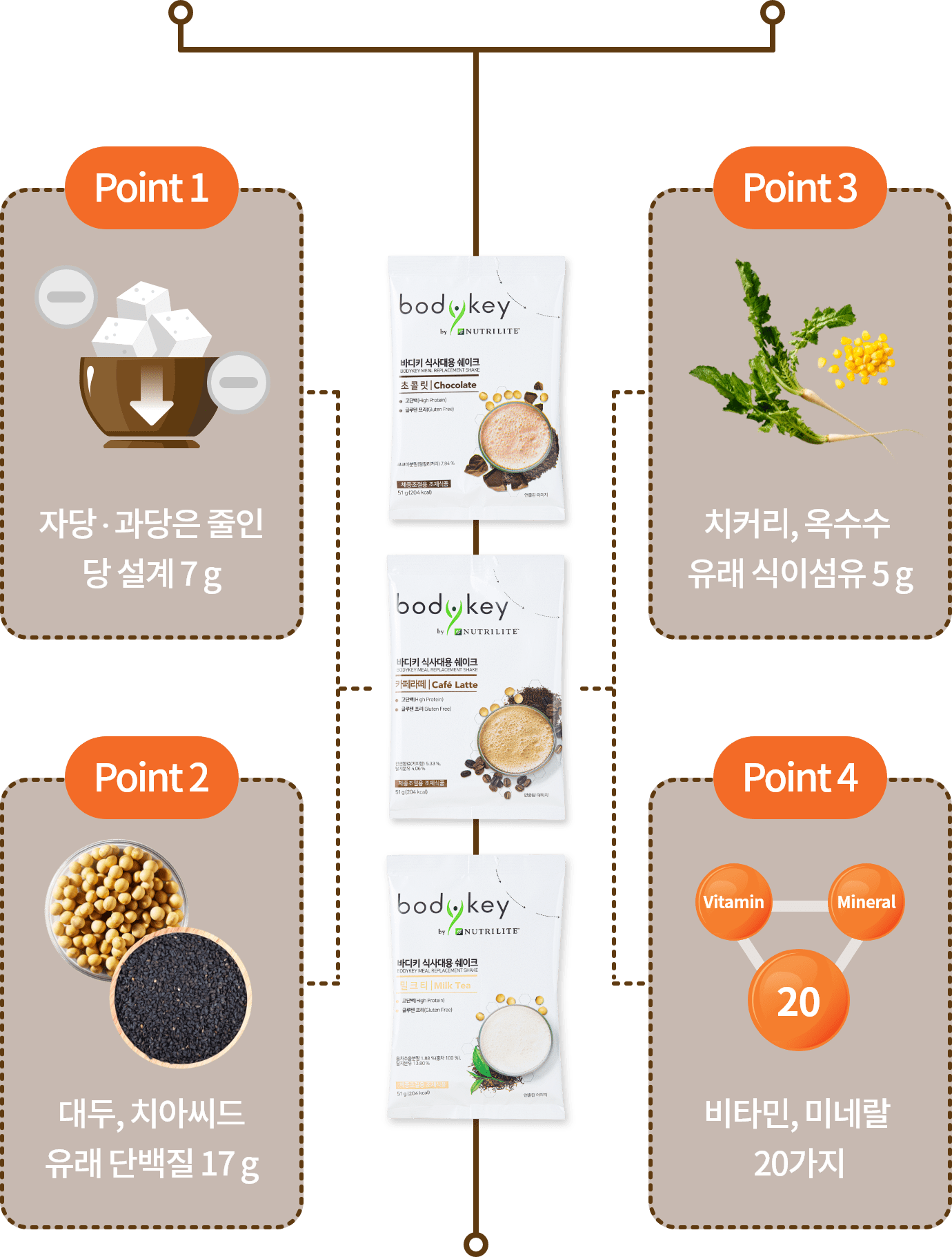 point 1. 자당·과당은 줄인 당 설계 7g / point 2. 치커리, 옥수수 유래 식이섬유 5g / point 3. 대두, 치아씨드 유래 단백질 17g / point 4.비타민, 미네랄 20가지