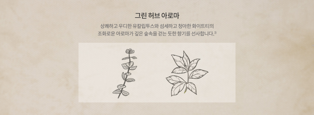 그린 허브 아로마 - 상쾌하고 우디한 유칼립투스와 섬세하고 청아한 화이트티의 조화로운 아로마가 깊은 숲속을 걷는 듯한 향기를 선사합니다.3)