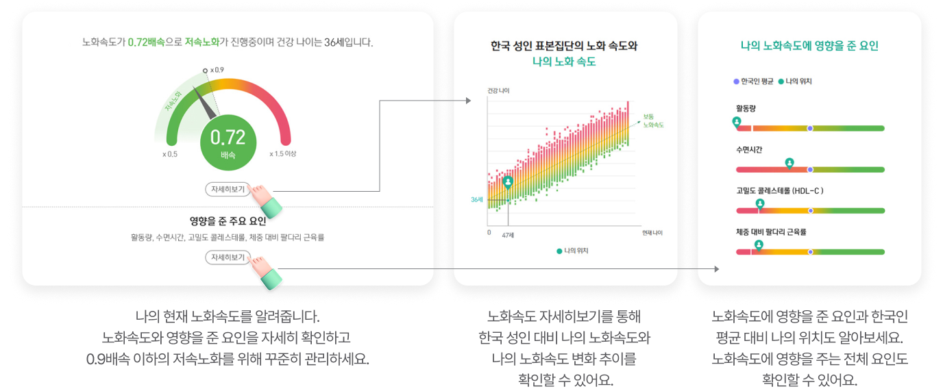 나의 현재 노화속도를 알려줍니다.노화속도와 영향을 준 요인을 자세히 확인하고 0.9배속 이하의 저속노화를 위해 꾸준히 관리하세요. / 노화속도 자세히보기를 통해 한국 성인 대비 나의 노화속도와​ 나의 노화속도 변화 추이를 확인할 수 있어요. / 노화속도에 영향을 준 요인과 한국인 평균 대비 나의 위치도 알아보세요. 노화속도에 영향을 주는 전체 요인도 확인할 수 있어요.
