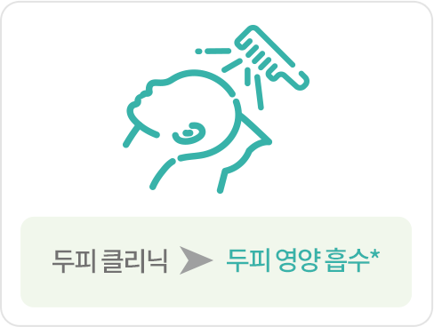 두피 클리닉 → 두피 영양 흡수* 이미지