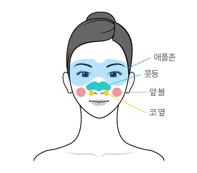 애플존, 나비존, 앞볼, 코볼옆 표기가 되어있는 사람 얼굴