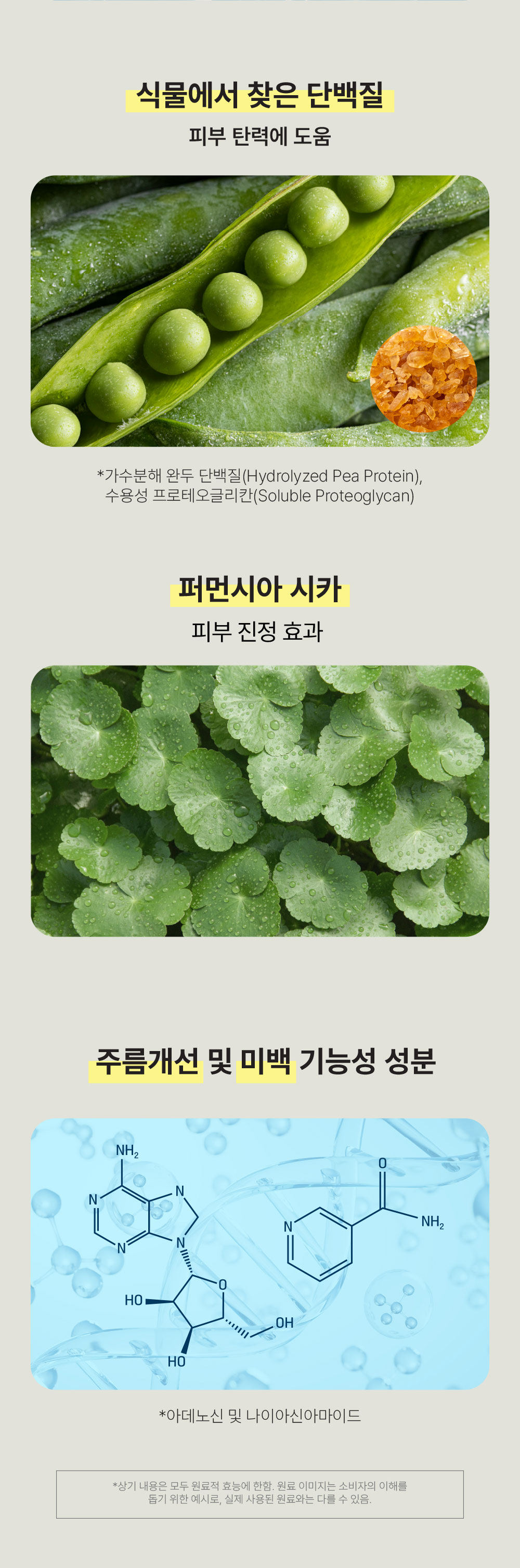 [식물에서 찾은 단백질, 퍼먼시아 시카, 주름개선 및 미백 기능성 성분]