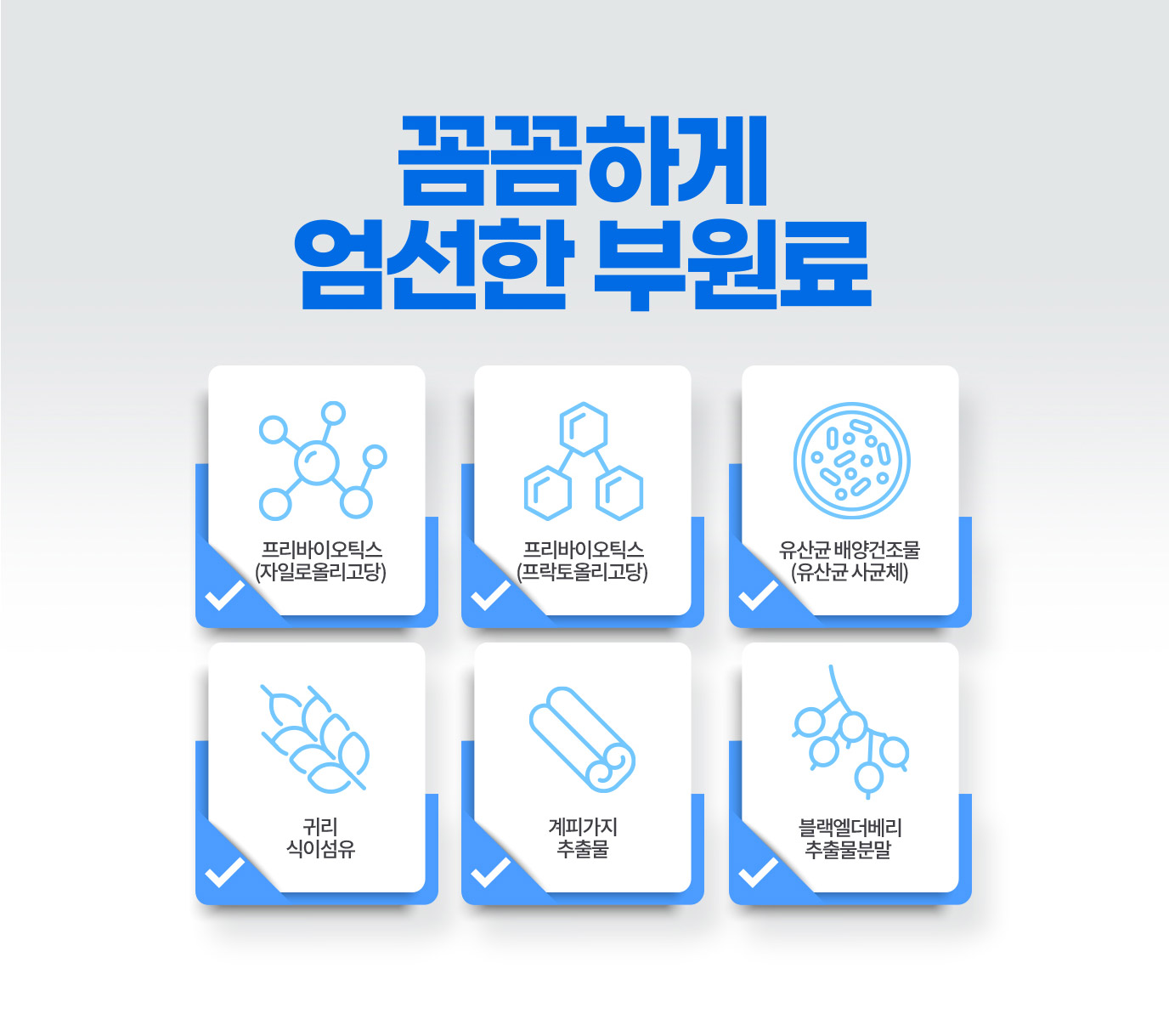 꼼꼼하게 엄선한 부원료. 프리바이오틱스(자일로올리고당), 프리바이오틱스(프락토올리고당), 유산균 배양건조물(유산균 사균체), 귀리 식이섬유, 계피가지 추출물, 블랙엘더베리 추출물분말