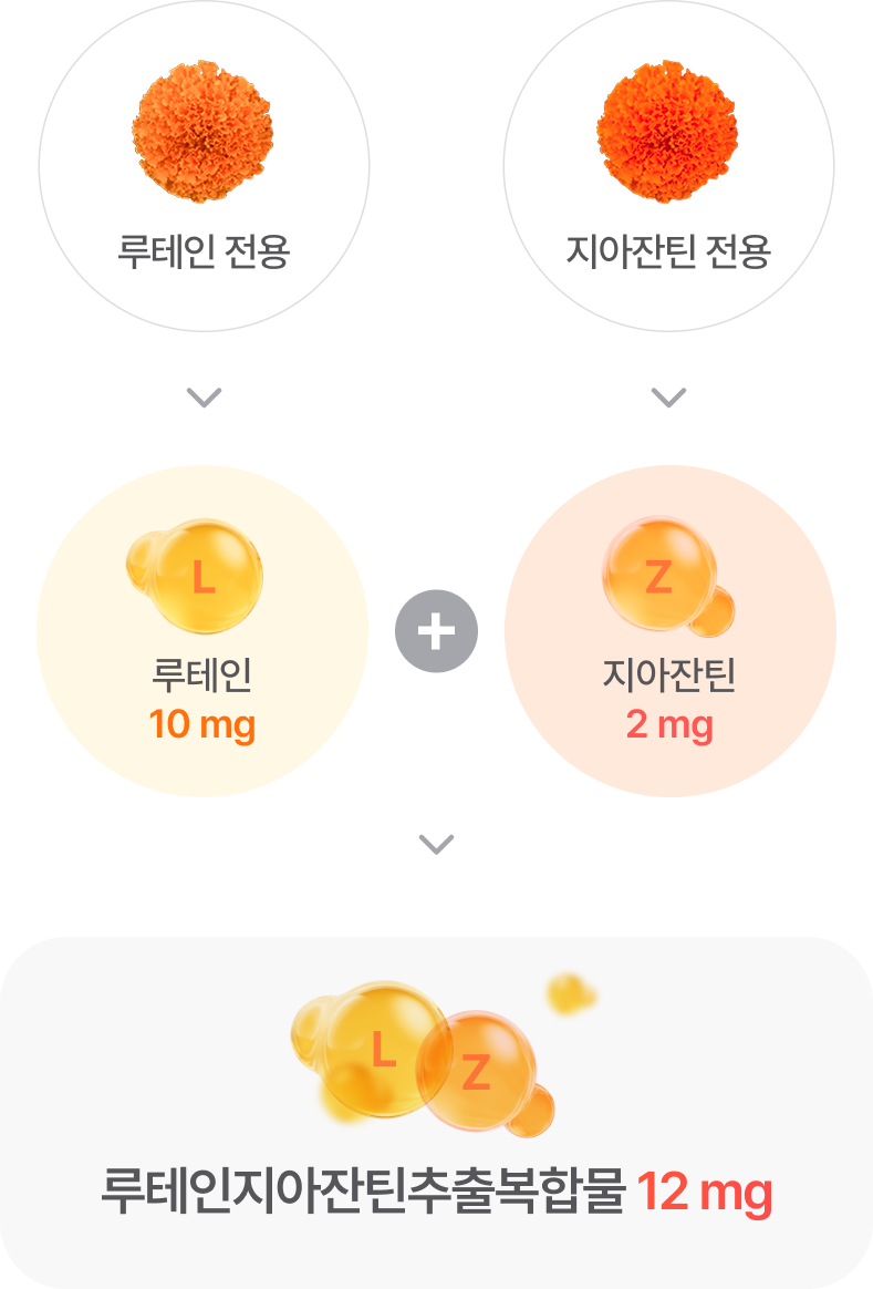 루테인전용->루테인 10mg + 지아잔틴 전용->지아잔틴 2mg ->루테인지아잔틴추출복합물 12mg