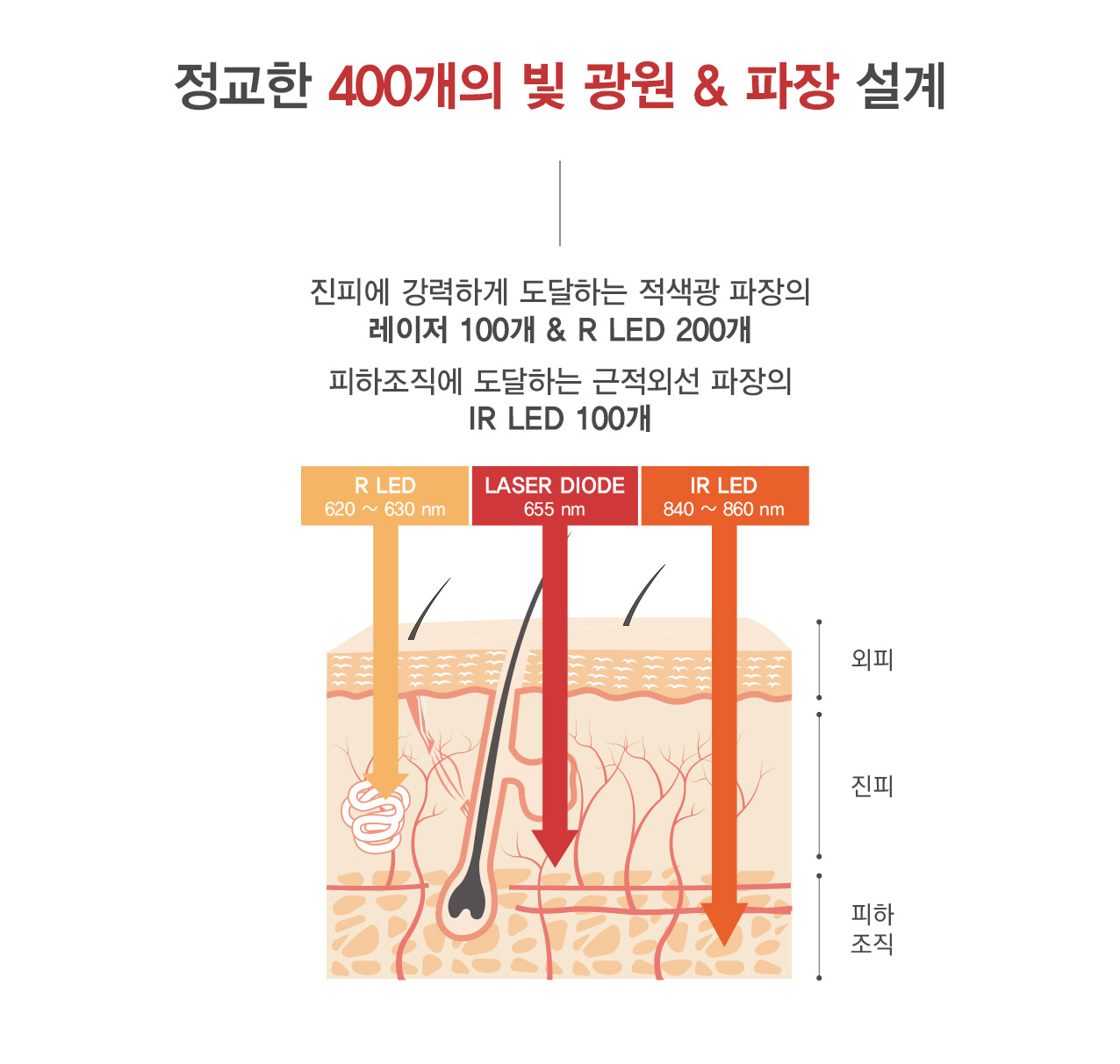 정교한 400개의 빛 광원 & 파장 설계 진피에 강력하게 도달하는 적색광 파장의 레이저 100개 & R LED 200개 피하조직에 도달하는 근적외선 파장의 IR LED 100개